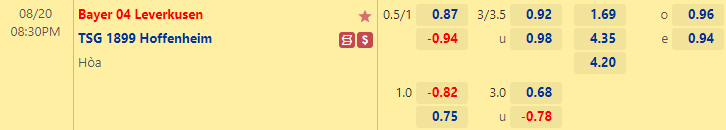 Nhận định bóng đá Leverkusen vs Hoffenheim, 20h30 ngày 20/8: VĐQG Đức