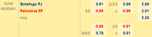 Nhận định bóng đá Botafogo RJ vs Palmeiras, 06h00 ngày 04/10: VĐQG Brazil