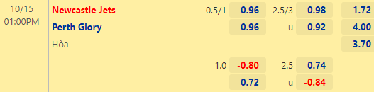 Nhận định bóng đá Newcastle Jets vs Perth Glory, 13h00 ngày 15/10: VĐQG Australia