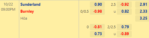 Nhận định bóng đá Sunderland vs Burnley, 21h00 ngày 22/10: Hạng nhất Anh