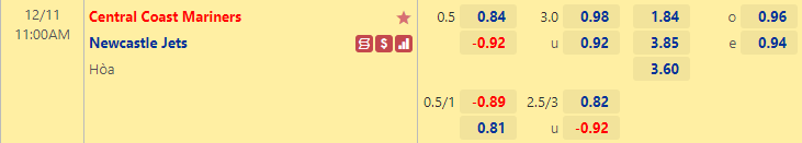 Nhận định bóng đá Central Coast vs Newcastle Jets, 11h00 ngày 11/12: VĐQG Úc