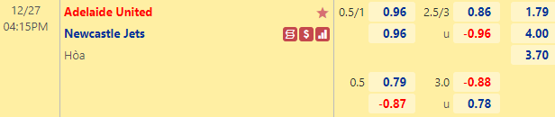 Nhận định bóng đá Adelaide United vs Newcastle Jets, 16h15 ngày 27/12: VĐQG Australia