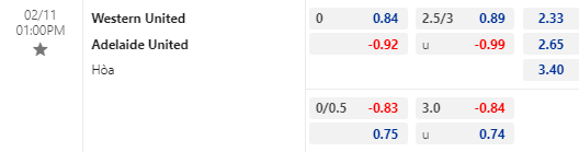 Nhận định bóng đá Western United vs Adelaide United, 13h00 ngày 11/02: VĐQG Australia