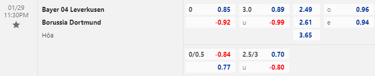 Nhận định bóng đá Leverkusen vs Dortmund, 23h30 ngày 29/1: VĐQG Đức