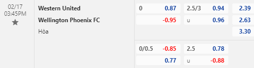 Nhận định bóng đá Western United vs Wellington Phoenix, 15h45 ngày 17/02: VĐQG Australia