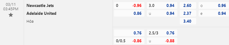 Nhận định bóng đá Newcastle Jets vs Adelaide United, 15h45 ngày 11/3: VĐQG Úc