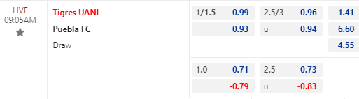 Nhận định bóng đá Tigres UANL vs Puebla, 09h05 ngày 21/04: VĐQG Mexico