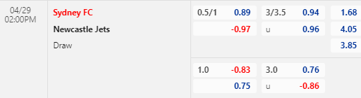 Nhận định bóng đá Sydney FC vs Newcastle Jets, 14h00 ngày 29/04: VĐQG Australia