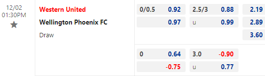 Nhận định bóng đá Western United vs Wellington Phoenix, 13h30 ngày 2/12: VĐQG Australia