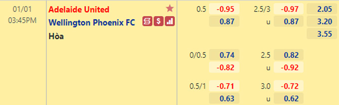 Nhận định bóng đá Adelaide United vs Wellington, 15h45 ngày 1/1: VĐQG Australia