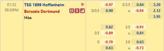 Nhận định bóng đá Hoffenheim vs Dortmund, 21h30 ngày 22/1: VĐQG Đức