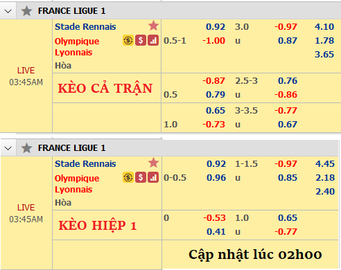 Rennes-vs-lyon